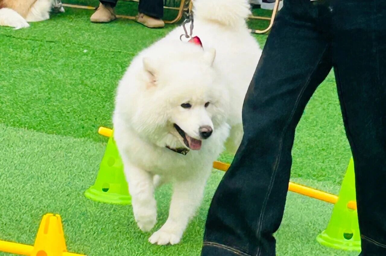 优德88·(中国区)官方网站