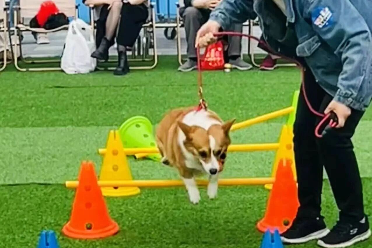 优德88·(中国区)官方网站