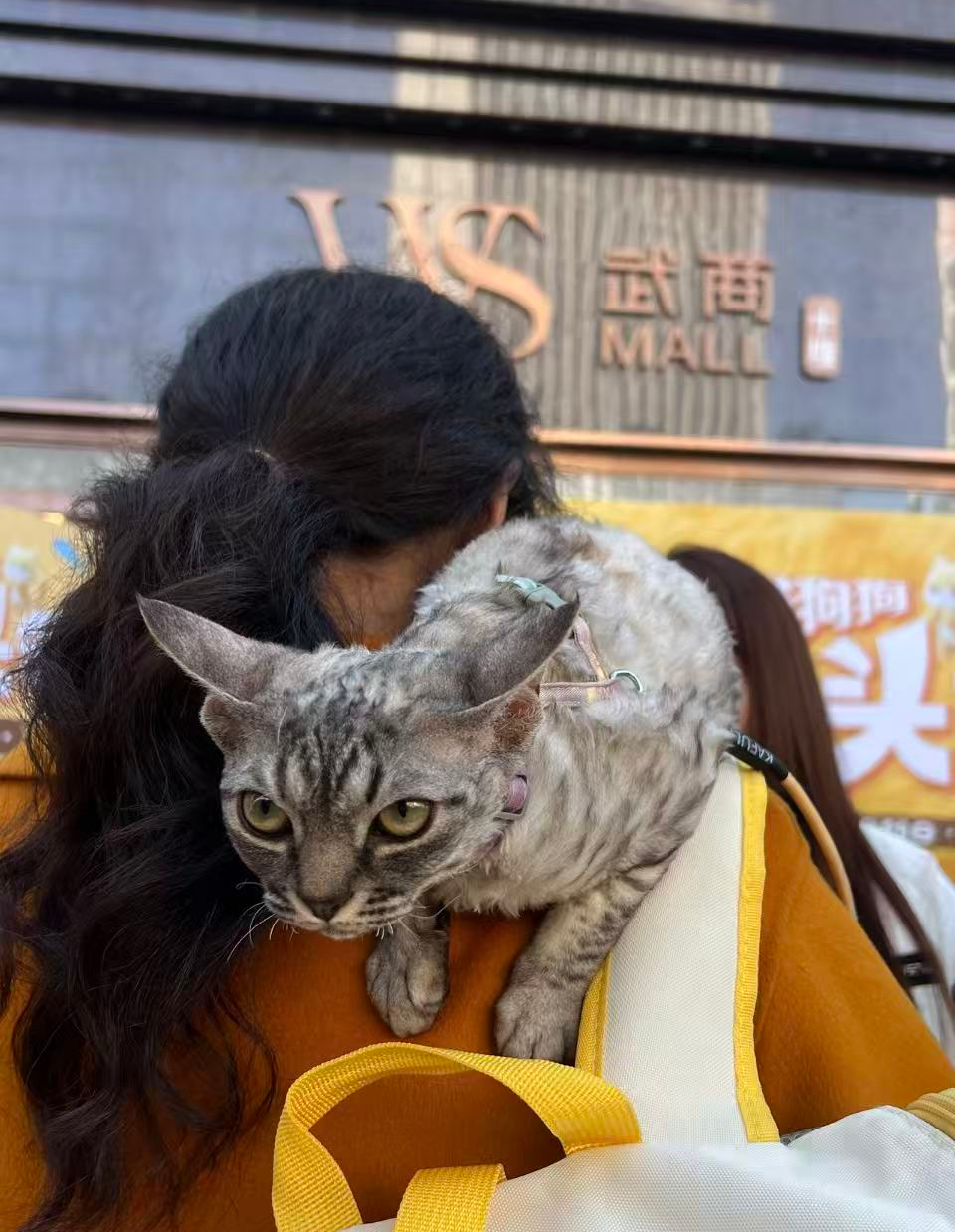 优德88·(中国区)官方网站